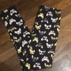Chihuahua Leggings